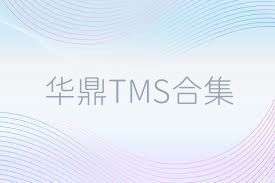华鼎TMS合集