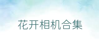 花开相机合集